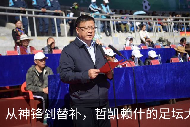 从神锋到替补，哲凯赖什的足坛大变脸