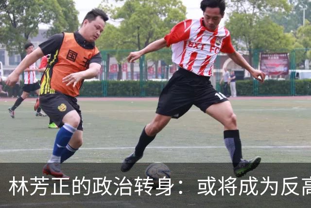 林芳正的政治转身：或将成为反高市的“黑马”？