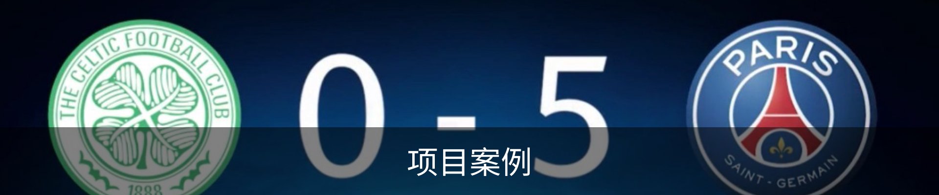 项目案例